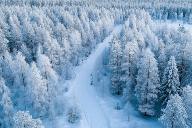 Lue selvitys: Suomessa  vähemmän avoimia verkkoja kuin Ruotsissa tai Tanskassa   
